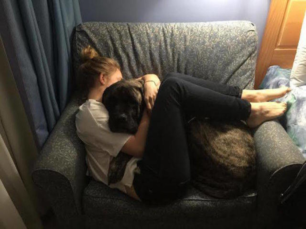 Девушка с собакой на диване