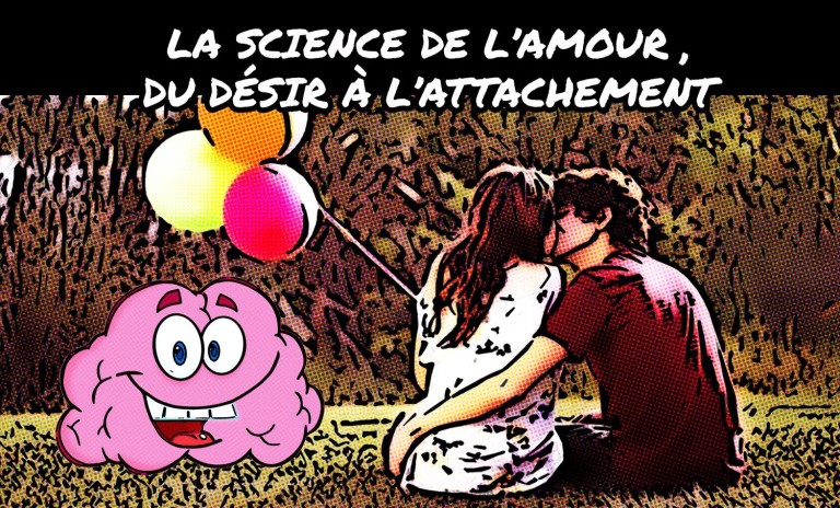 La science de l’amour, du désir à l’attachement