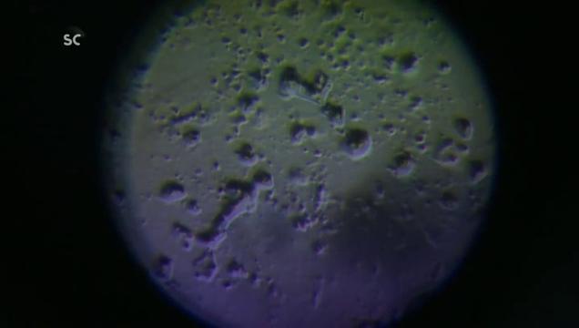 Reportage : Le meilleur des mondes, la biologie…