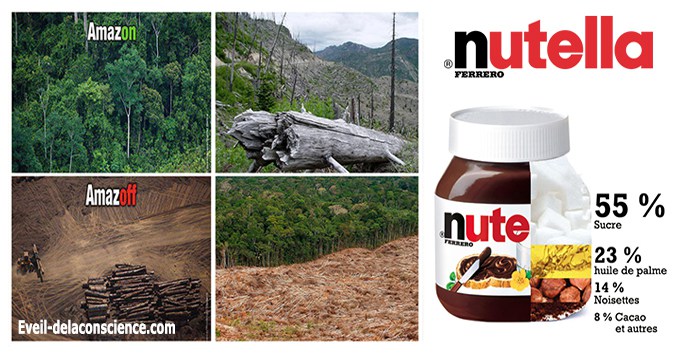 NUTELLA : La vraie recette !!