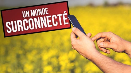 Des chiffres et le monde