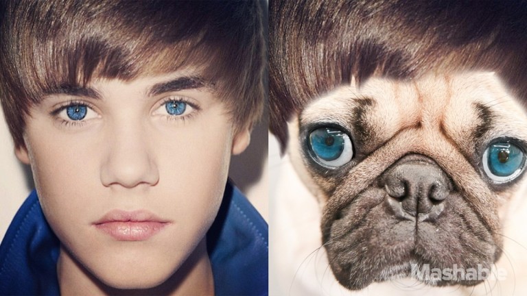 Un enfant de 7 ans prend son pied sur du Justin Bieber