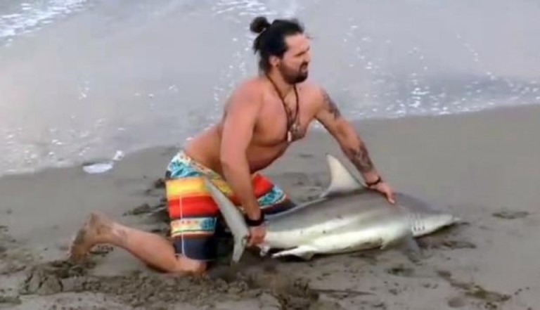 Un idiot sort un requin de l’eau pour prendre un selfie