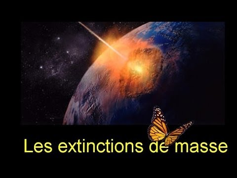 Les extinctions de masse…