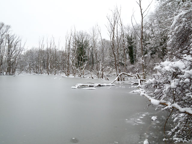 L&rsquo;idée conne de la journée !! Une fille marche sur un étang gelé…