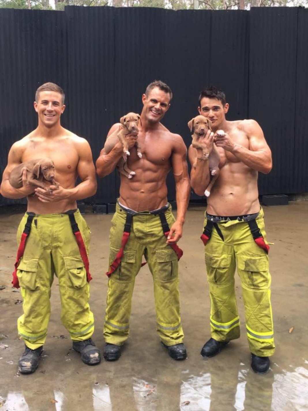 en-australie-les-pompiers-ressemblent-a-breakforbuzz