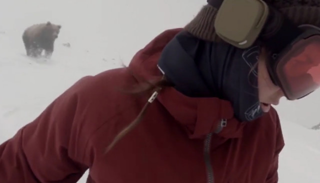 Une snowboardeuse est poursuivie par un ours