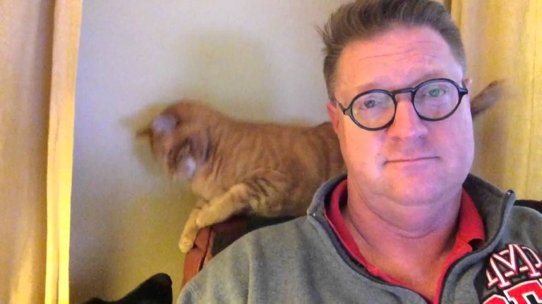 Un dimanche matin tranquille avec son chat et son chien