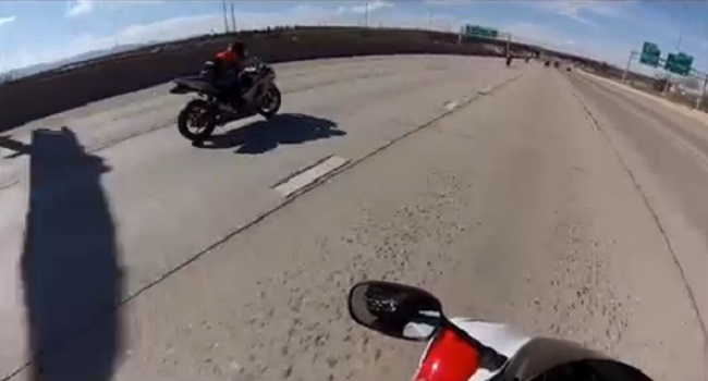 Un motard violemment renversé par un chien !