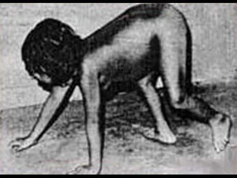 10 humains élevés par des animaux