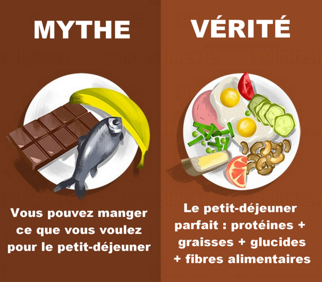 Интересные факты диета без спорта Интересные факты диета без спорта