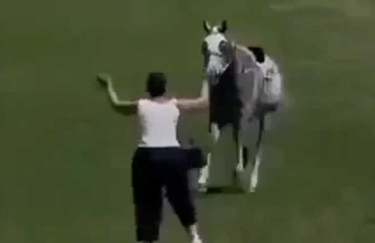 Cette femme pense qu&rsquo;elle peut arrêter un cheval lancé à pleine vitesse