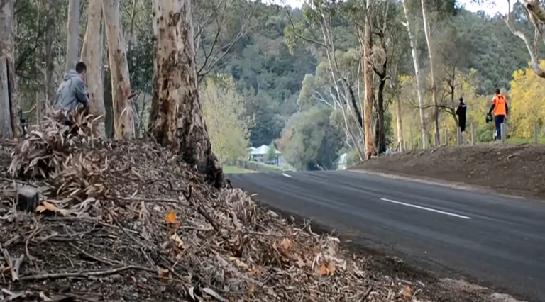 Un caméraman pense être caché derrière des arbres lors d&rsquo;une course de drift…