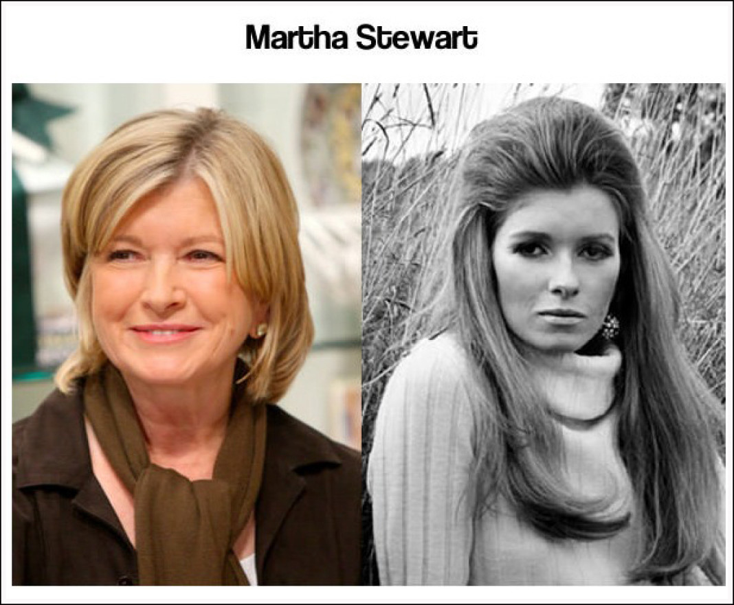 Martha Stewart Fakes