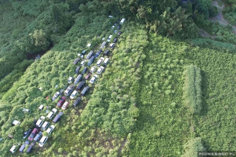 Fukushima en photos, quand la nature reprend ses droits…