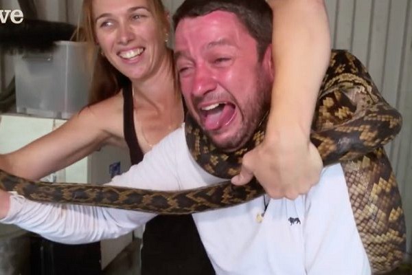 Un python étrangle un homme qui souhaitait l’attraper !