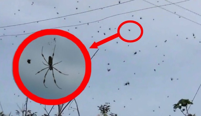 8 CHOSES ÉTRANGES enregistrées par des CAMÉRAS DE SURVEILLANCE