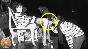 Les anecdotes que vos PROFESSEURS ne CONNAISSENT pas !!