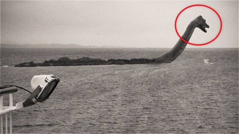 5 CRÉATURES Mystérieuses INEXPLIQUÉES !