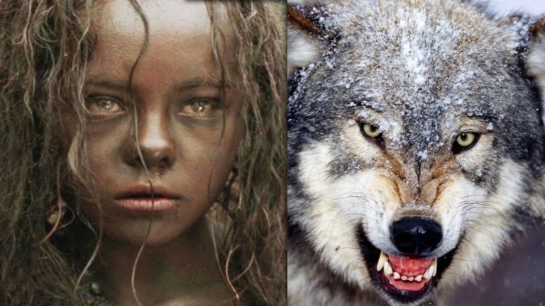 5 ENFANTS SAUVAGES élevés par des ANIMAUX