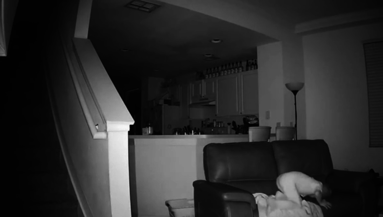 Des parents ont une surprise en voyant ce que leur fils fait pendant la nuit !