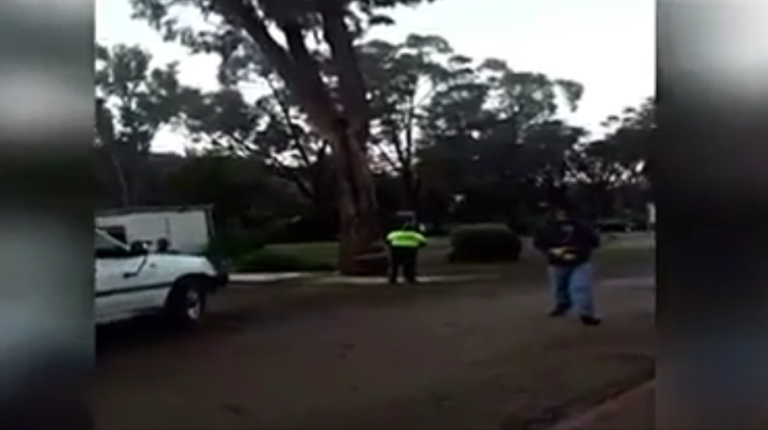 Il se rate totalement lors de l&rsquo;abattage d&rsquo;un arbre et explose son Mobil-Home