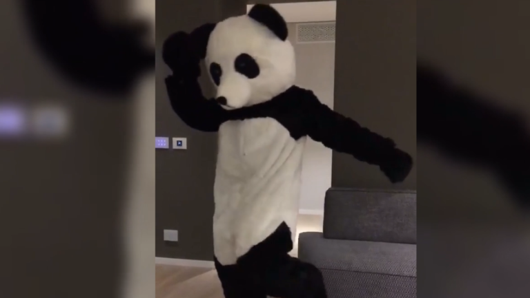 Patrice Evra danse déguisé en… Panda !!