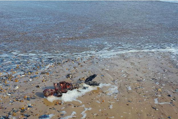 Bizarre le cadavre d&rsquo;une sirène retrouvé sur une plage anglaise ?!?