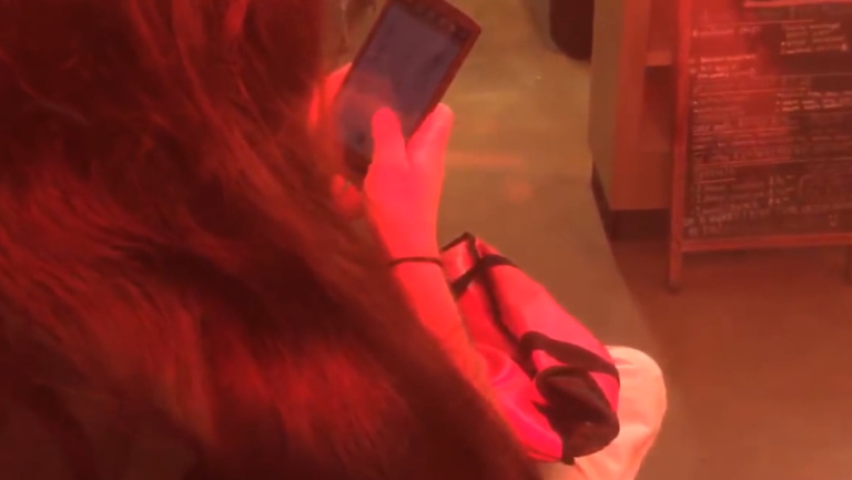 Quand un joueur de Pokemon GO essaye de draguer une jolie fille