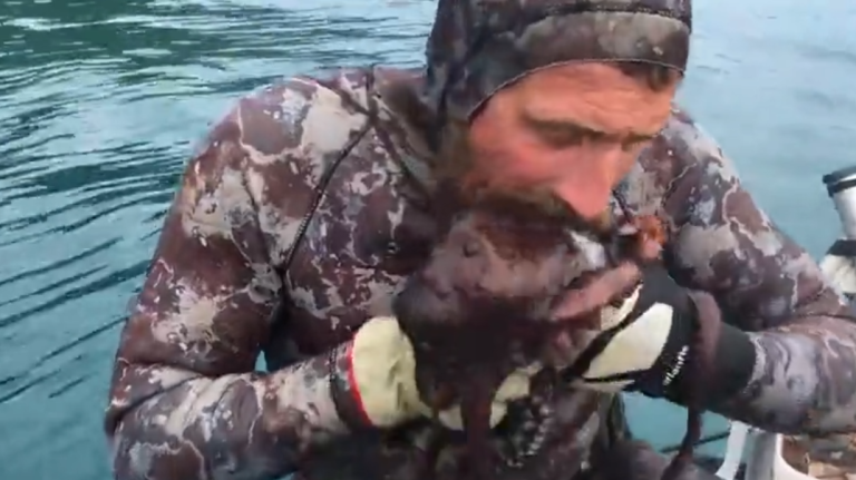 Un pêcheur a une façon très particulière d&rsquo;achever un poulpe