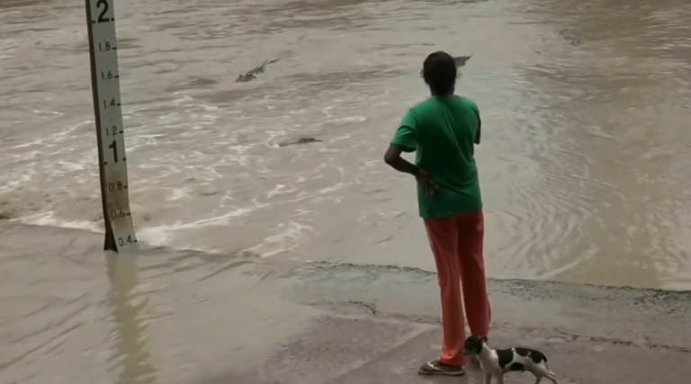 Une femme repousse un crocodile avec une tong