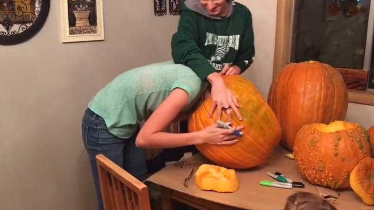 Une jeune fille se coince la tête dans une citrouille