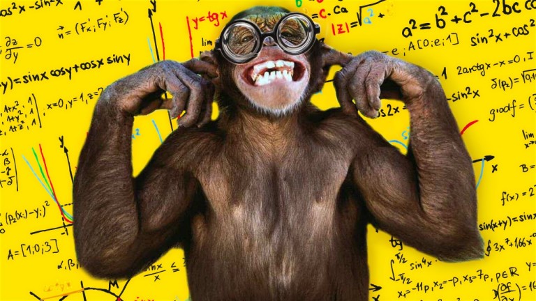 5 ANIMAUX LES PLUS INTELLIGENTS !