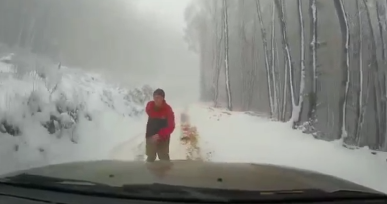 Oublier le frein à main pendant une pause-pipi