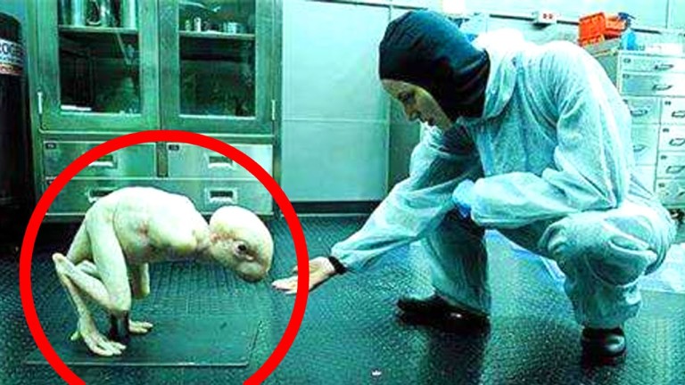 Top 10 des EXPÉRIENCES scientifiques les plus FLIPPANTES !