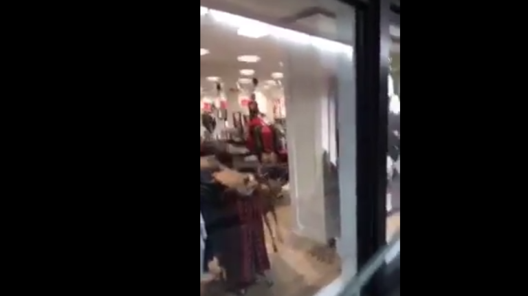 Un cerf explose la vitrine d&rsquo;une boutique !
