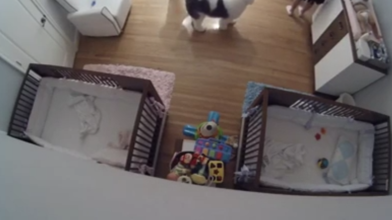 Un enfant de 9 ans rattrape de justesse un bébé