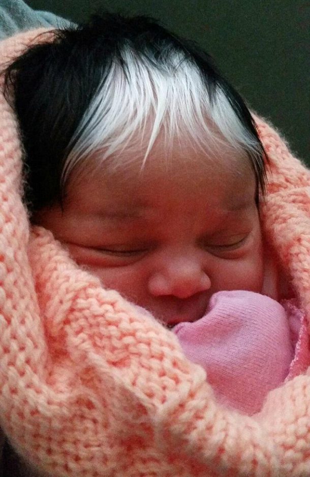 Ce magnifique bébé est né avec la même mèche blanche que sa maman Breakforbuzz