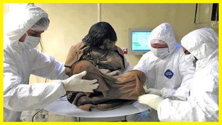 7 CORPS PRÉSERVÉS dans le TEMPS