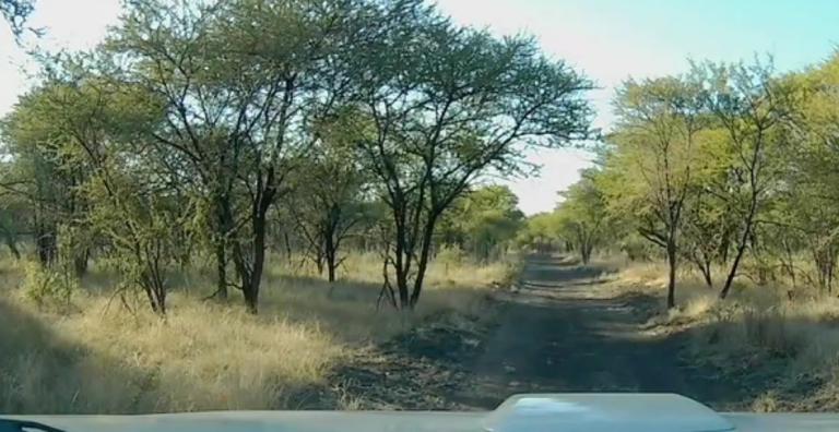 Arnaque à l&rsquo;assurance made in Afrique du Sud