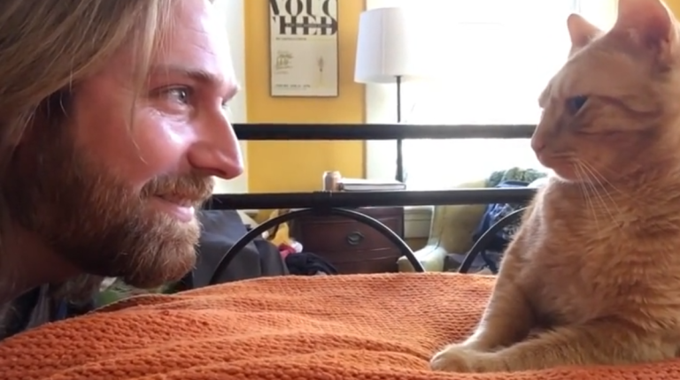 Ce venger de son chat qui vous empêche de dormir la nuit…