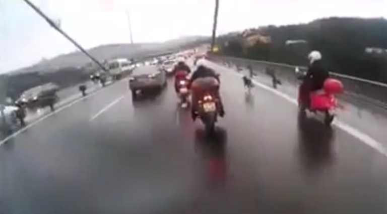 Cinq motards protègent un chien égaré sur l’autoroute…