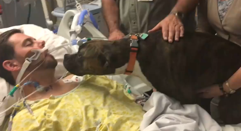 Les adieux d’un chien à son maître mourant