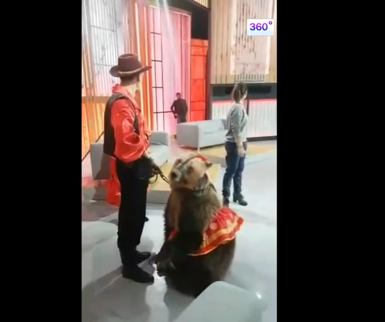 Ne jamais toucher un ours !!