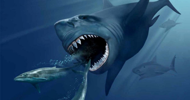 Top 10 des MYSTÈRES les plus INCROYABLES des FONDS MARINS !