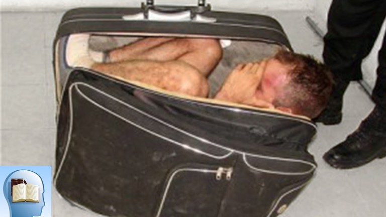 Top 10 des TRUCS FOUS trouvés par la SÉCURITÉ des aéroports !