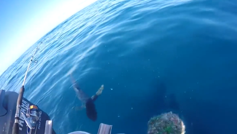 Un homme saute sur un requin pour l&rsquo;attraper !