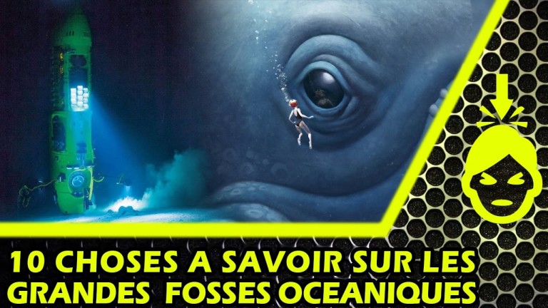 10 CHOSES à SAVOIR sur les GRANDES FOSSES OCÉANIQUES