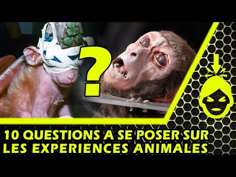 10 QUESTIONS à SE POSER sur les EXPÉRIENCES ANIMALES