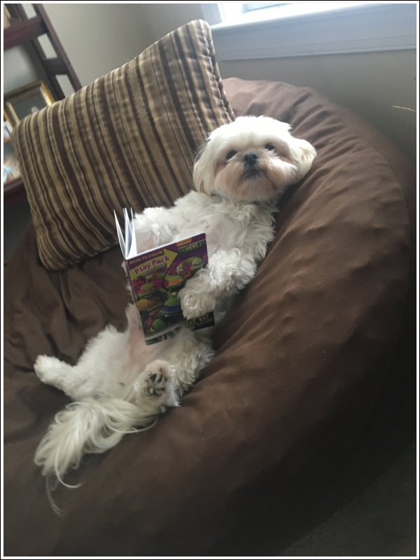 Images insolites et drôles #216